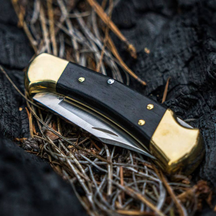 Buck Folding Hunter 110